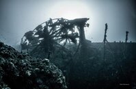 2015_Patris-00547.jpg