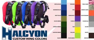 halcyoncustomcolorwing.jpg