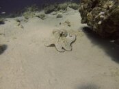 GOPR0323.jpg