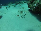 GOPR0323_original.jpg