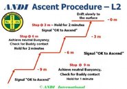 andi-ascent-l2.jpg