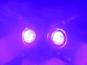 12244288_10208116682617955_5810755474135051939_o.jpg