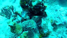 vlcsnap-2015-12-17-13h27m01s57.jpg