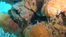 vlcsnap-2015-12-17-13h36m16s12.jpg