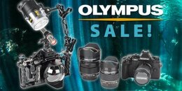 Olympus FB.jpg