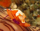 IMG_3530.jpg