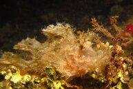 IMG_3401.jpg