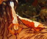 IMG_3521.jpg
