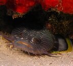 IMG_6778.jpg