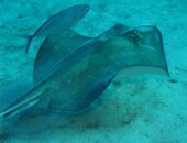 IMG_6712.jpg