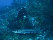 IMG_6911.jpg