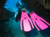 IMG_6696.jpg