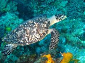 IMG_6917.jpg