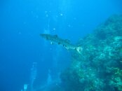 IMG_6912.jpg