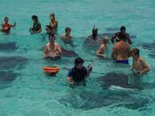 stingrayCity.jpg