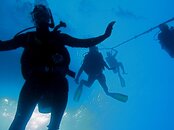 IMG_0119_2.jpg