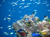 n1317620682_30041648_1127.jpg