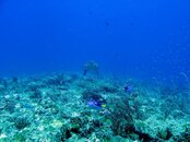 IMG_3739.jpg
