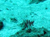 IMG_5445.jpg
