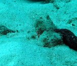 IMG_5446.jpg
