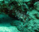 IMG_5449.jpg