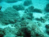 IMG_5450.jpg