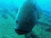 IMG_0383_2.jpg