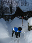 january snow.jpg