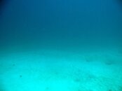 IMG_5662.JPG