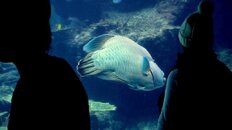 DSC01043.JPG