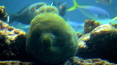 DSC01048.JPG