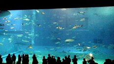 DSC01059.JPG
