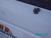 Bonairetrip-1-09 045.jpg