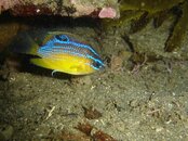 DSC05773 (Large).JPG