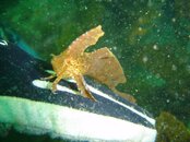 DSC01179 (Large).jpg