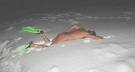 snokeling in nebraska.jpg