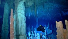 Fangorn Forest.jpg