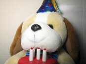 IMG_0999.jpg