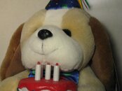IMG_1001.jpg