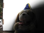 IMG_1002.jpg