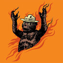 smokey_the_bear_large-01.jpg