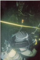 dive photos 001.jpg