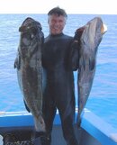 cc 50 lbs KWO bks-e.jpg