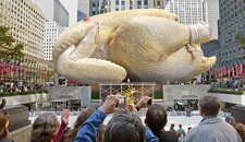 giant-turkey.jpg