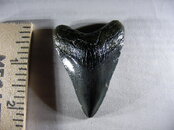 SANY0595.JPG