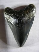 SANY0596.JPG