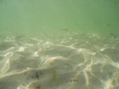 Back Beach, Cape Ann, MA (25).jpg