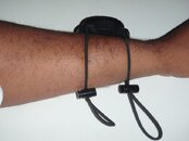bungee.jpg
