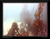 M0010528-sm.jpg