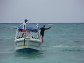 100_3630 (Medium).jpg
